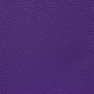 Morbern AllSport 4-Way Stretch Vinyl Bright Violet
