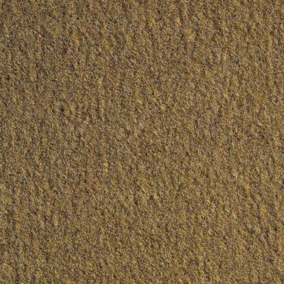 Sample of El Dorado Cutpile Carpet Caramel Unlatexed
