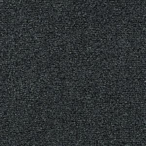 Sample of Aqua Turf Marine Carpet 8' 6" Charcoal