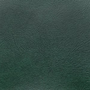 Sample of Denali Vinyl Dark Green