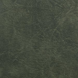 Sample of Carrara Automotive Vinyl Dark Green