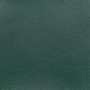 Sample of Denali Vinyl Green