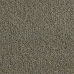El Dorado Cutpile Carpet 80" Medium Mocha Unlatexed