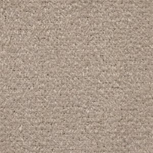 Sample of Synergy II Performer Backed Suede Beige