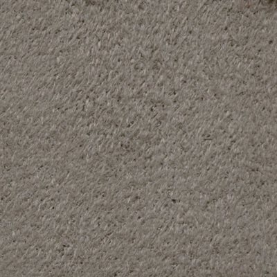 Sample of Synergy II Suede Performer Backed Medium Neutral