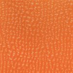 Softside Gemini Marine Vinyl Tangerine
